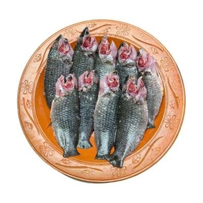 পুকুরের কই